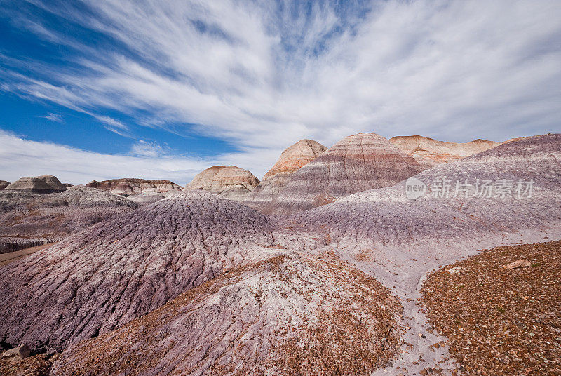 Blue Mesa的Badlands Formation